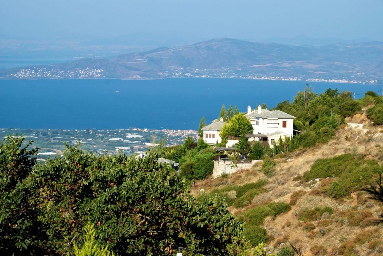 Great Pelion Villa Villa Thalia Private Pool 3 Bedrooms Aghios Georgios Buitenkant foto